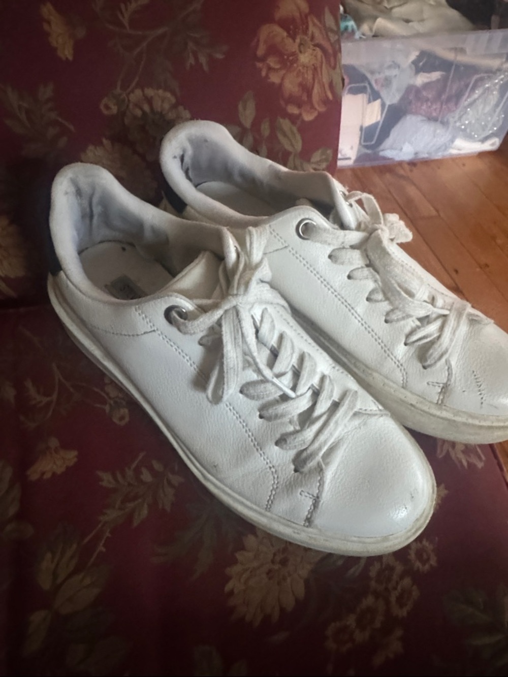 Steve Madden White Low-Top Sneakers